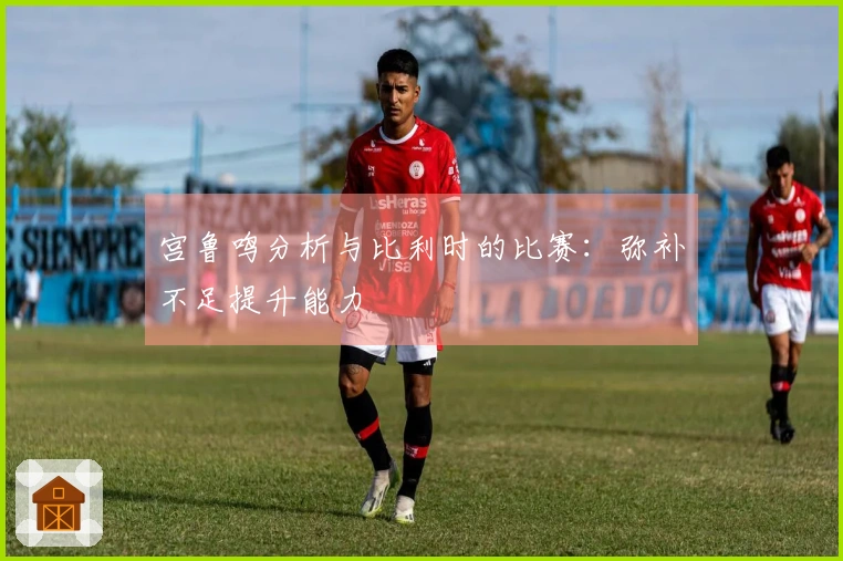 宫鲁鸣分析与比利时的比赛：弥补不足提升能力