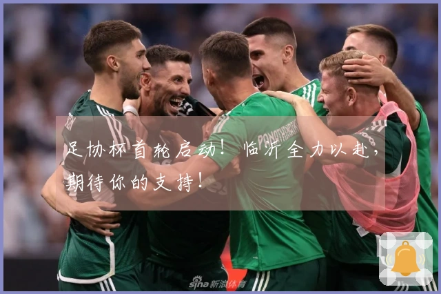 足协杯首轮启动！临沂全力以赴，期待你的支持！